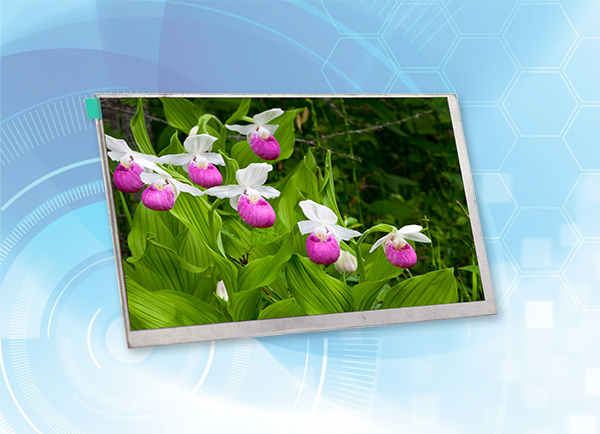 高清lcd顯示屏有哪些特點(diǎn)？價(jià)格貴不貴？