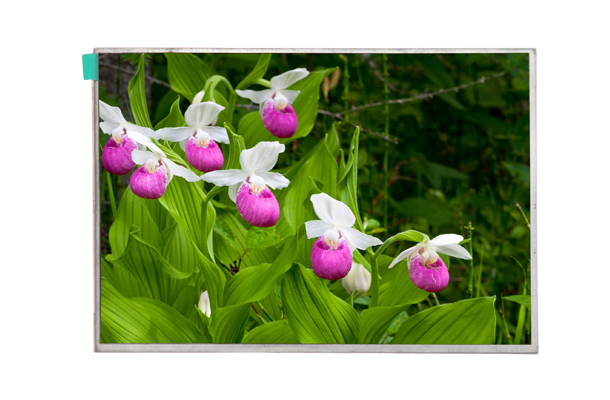 詳細(xì)介紹7寸lcd液晶顯示屏的幾大特點(diǎn)【海飛智顯】-lcd液晶顯示屏廠(chǎng)家