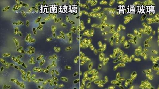 3714999387,3037072008 3714999387,3037072008