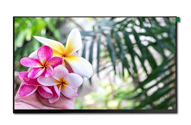 工業(yè)醫(yī)療液晶顯示屏 工業(yè)醫(yī)療液晶顯示屏