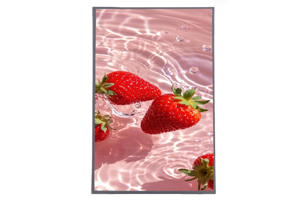 10.1寸1200*1920 In-cell液晶屏：未來觸摸顯示技術的新選擇