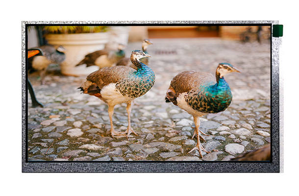 高清與實(shí)用兼?zhèn)洌?寸1280×720 LCD液晶屏打造高品質(zhì)視覺(jué)體驗(yàn)