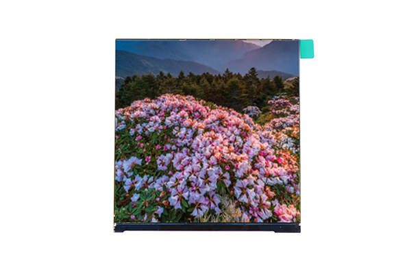 3.95寸 720*720 LCD-TFT液晶屏：方形屏幕的新視覺(jué)體驗(yàn)