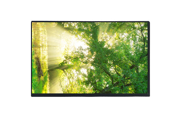 10.1寸1024×600 LCD液晶屏：一款低成本高性價比的理想選擇